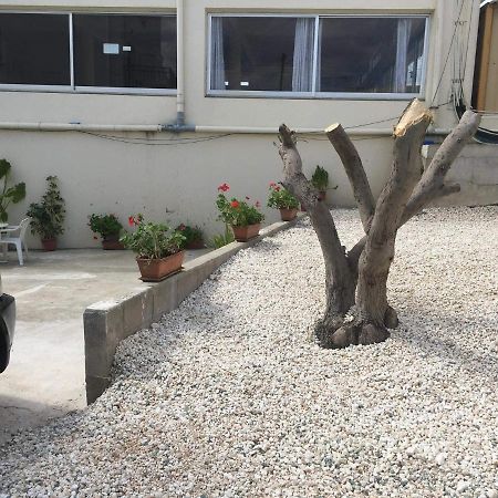 Ellenapa Apts & Studios Ayia Napa Exteriér fotografie